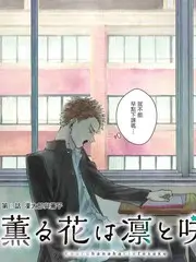 推理之夜综艺在线观看
